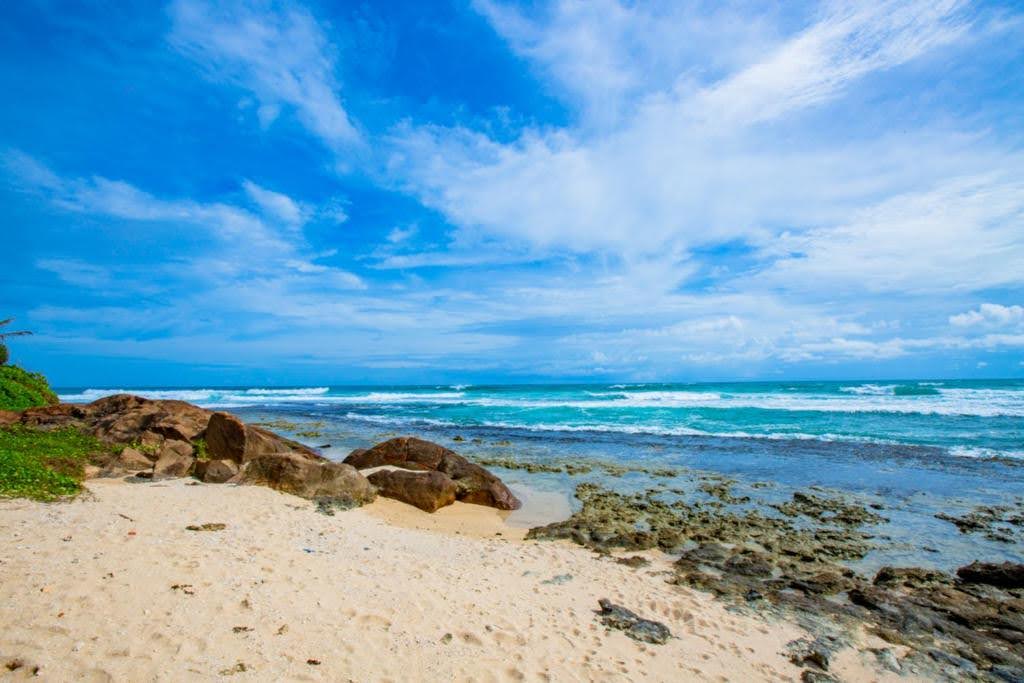 Terrace and covered seating